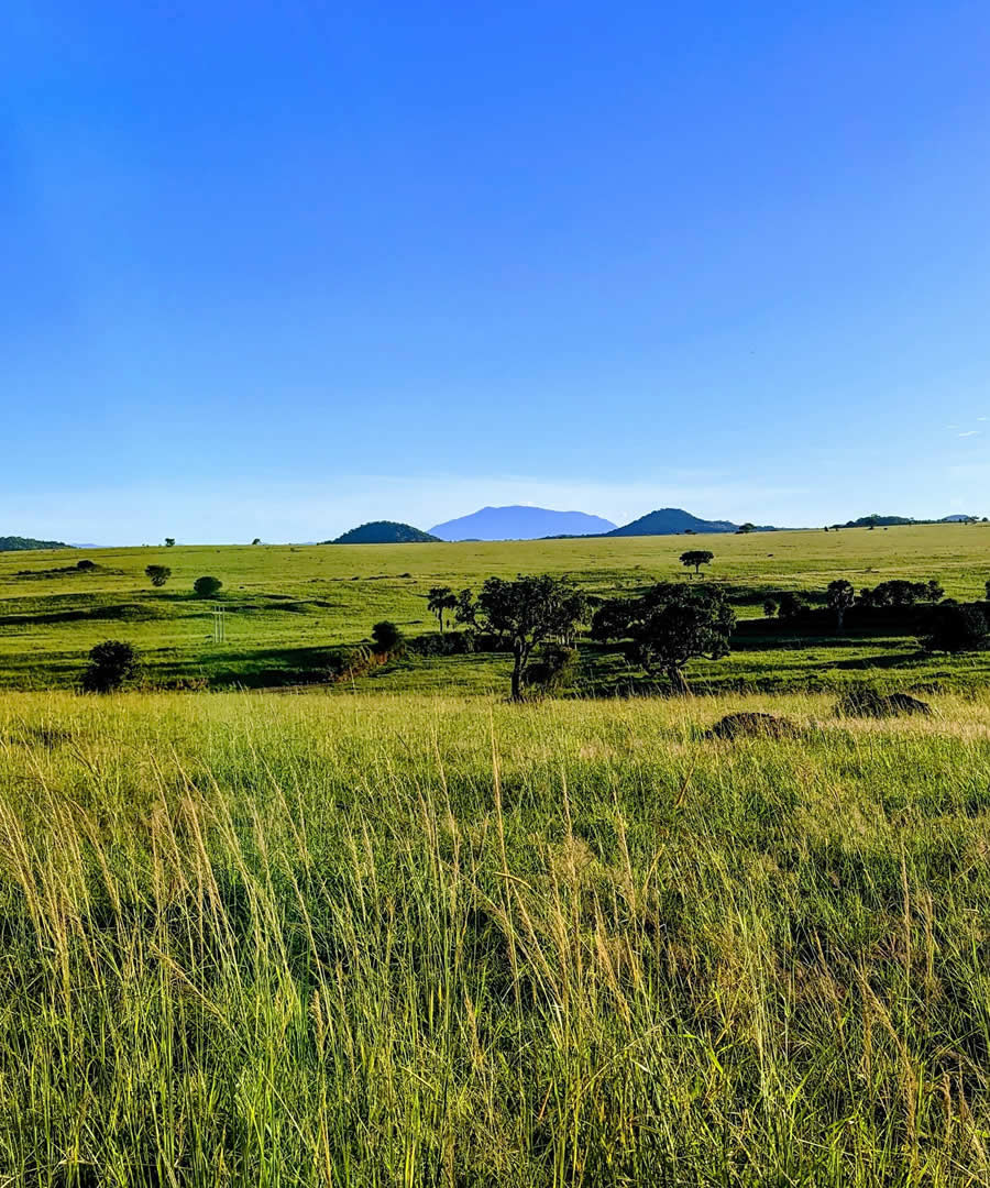 Kidepo Valley National Park